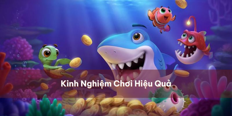 Tips chơi hữu hiệu kiếm tiền triệu tại bắn cá